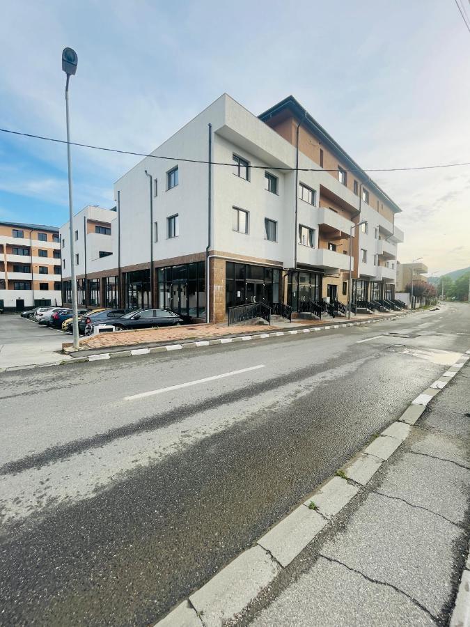 Apartament Yra Rm.Valcea Râmnicu Vâlcea Exterior foto